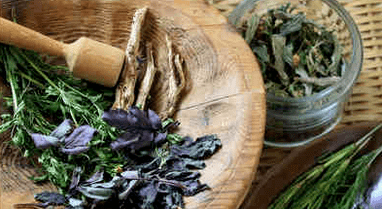 Treatment of psoriasis with folk drugs